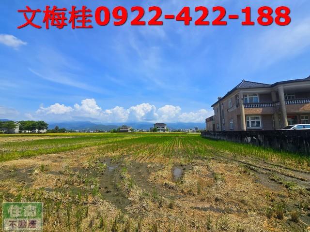 宜蘭宜蘭市農地-1