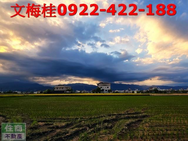 宜蘭宜蘭市農地-7