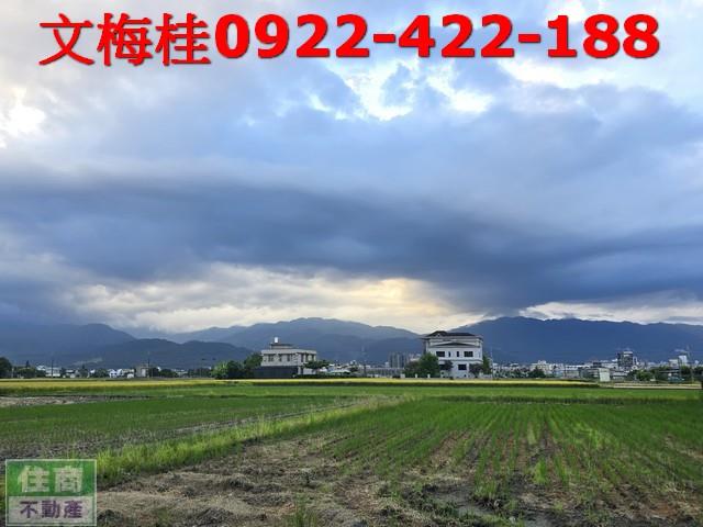 宜蘭宜蘭市農地-8