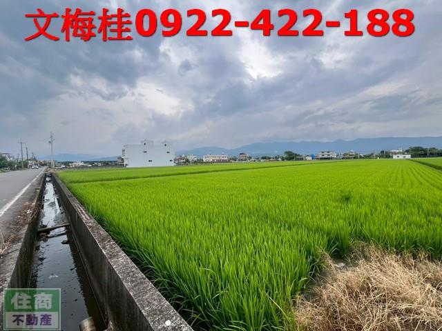 宜蘭壯圍農地-1