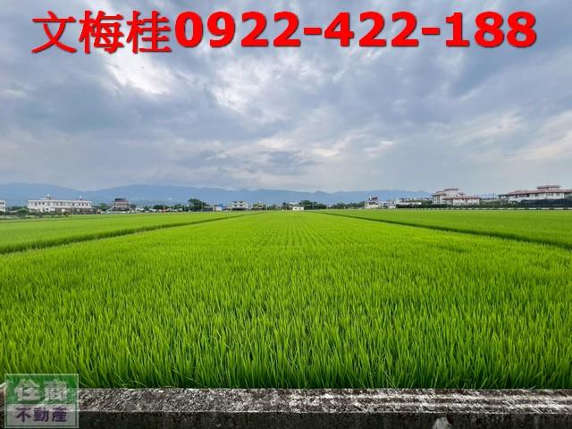 宜蘭壯圍農地-4