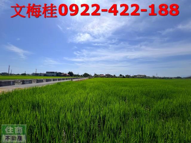 宜蘭宜蘭市農地-0