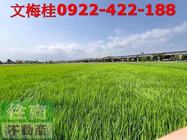 宜蘭宜蘭市農地-0