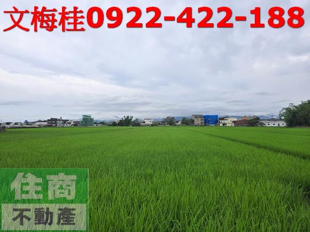 宜蘭壯圍農地-0