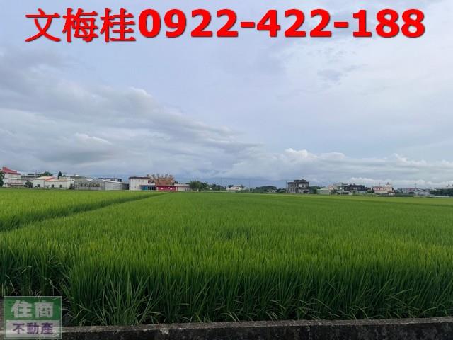 宜蘭壯圍農地-0