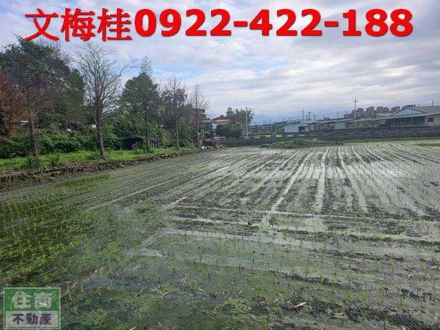 宜蘭壯圍農地-0
