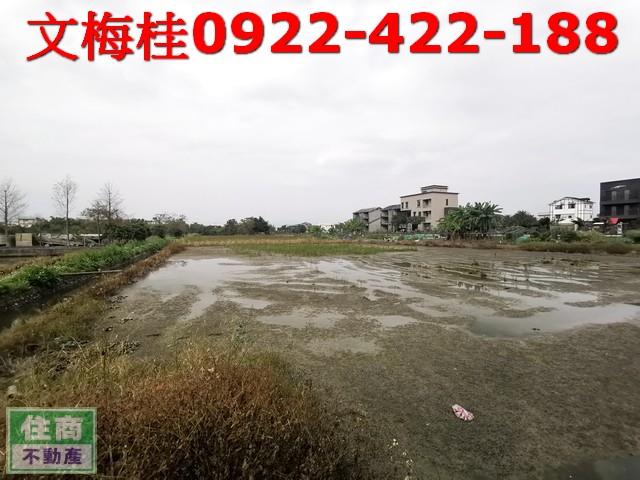 宜蘭五結農地-0