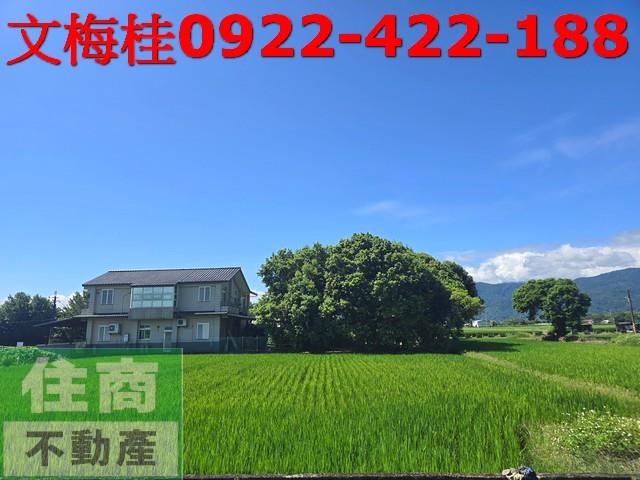 宜蘭三星農地-0
