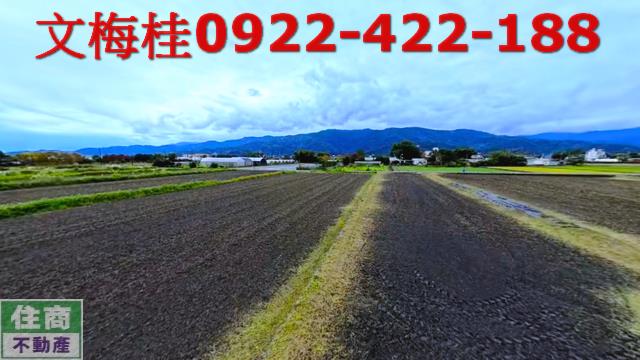 宜蘭三星農地-1