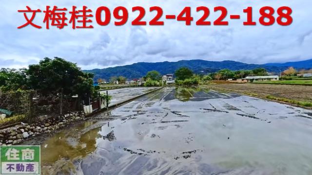 三星農地-4