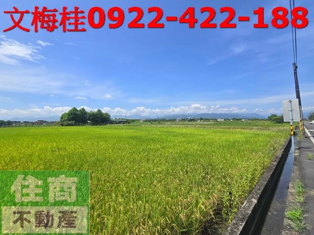員山農地-2