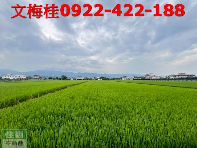 壯圍農地-0