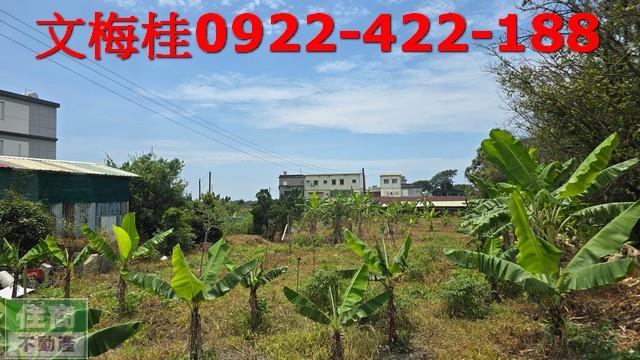頭城農地-2