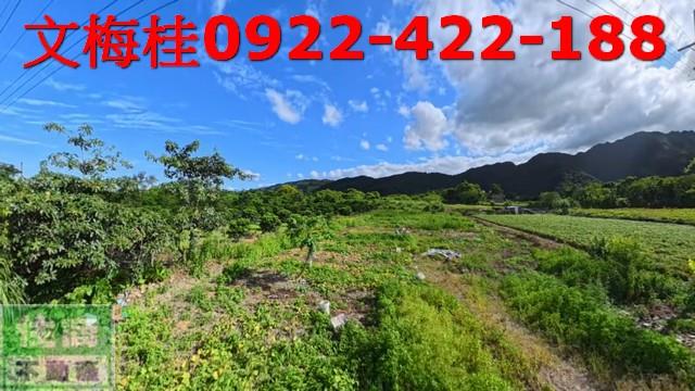 宜蘭員山農地-0