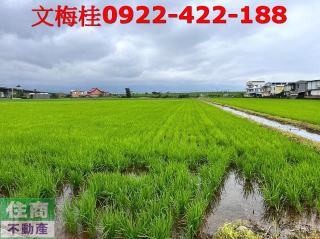 宜蘭宜蘭市農地-0