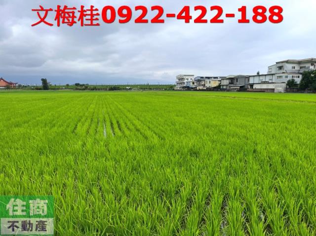 宜蘭宜蘭市農地-1