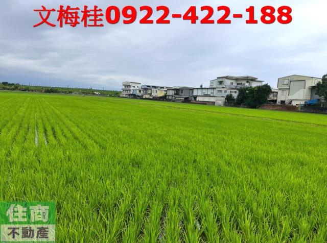 宜蘭宜蘭市農地-2