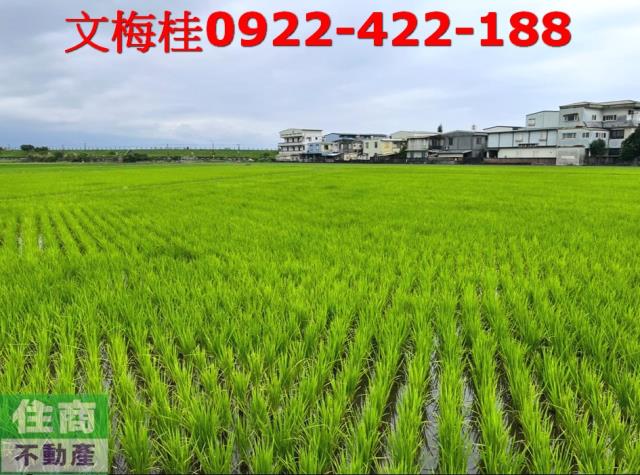 宜蘭宜蘭市農地-3