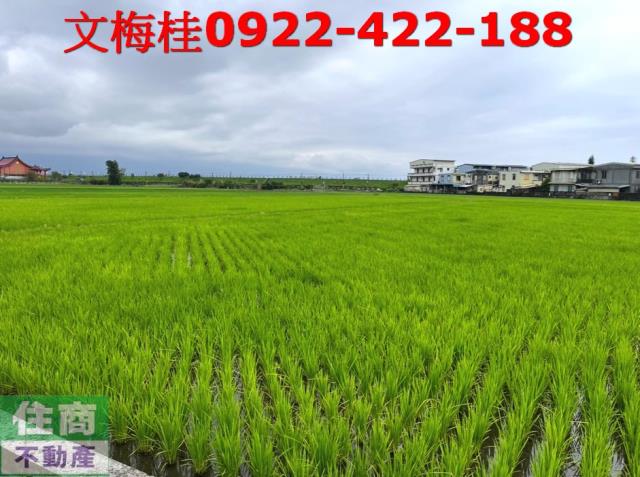 宜蘭宜蘭市農地-4