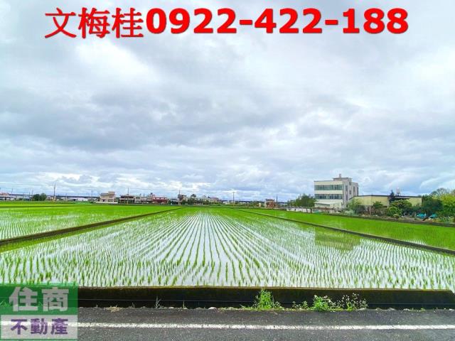 宜蘭宜蘭市農地-0