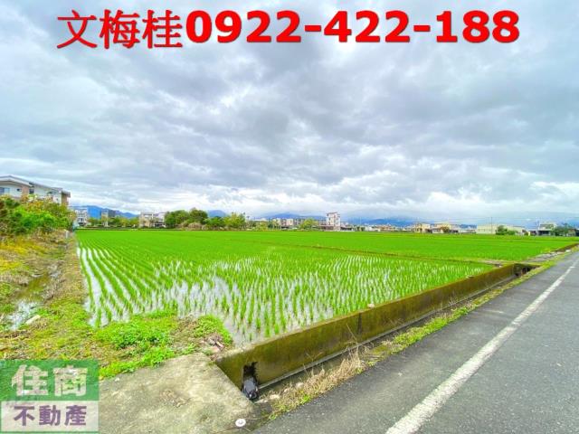 宜蘭宜蘭市農地-1