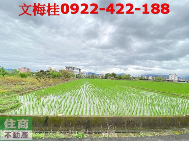 宜蘭宜蘭市農地-2