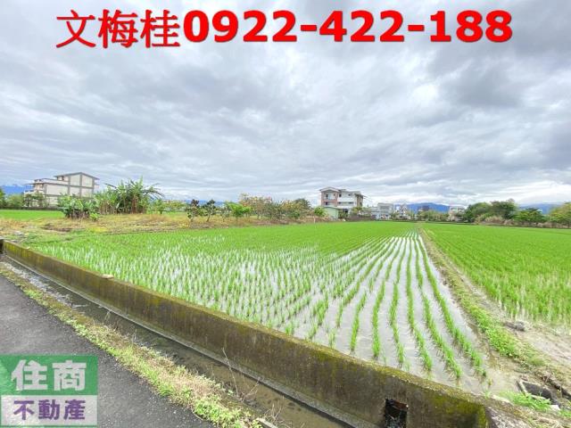 宜蘭宜蘭市農地-3