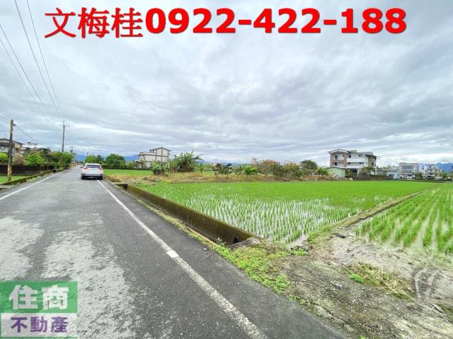 宜蘭宜蘭市農地-5