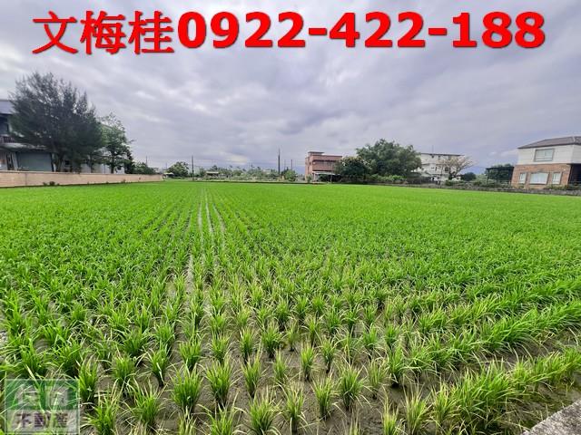 宜蘭員山農地-5