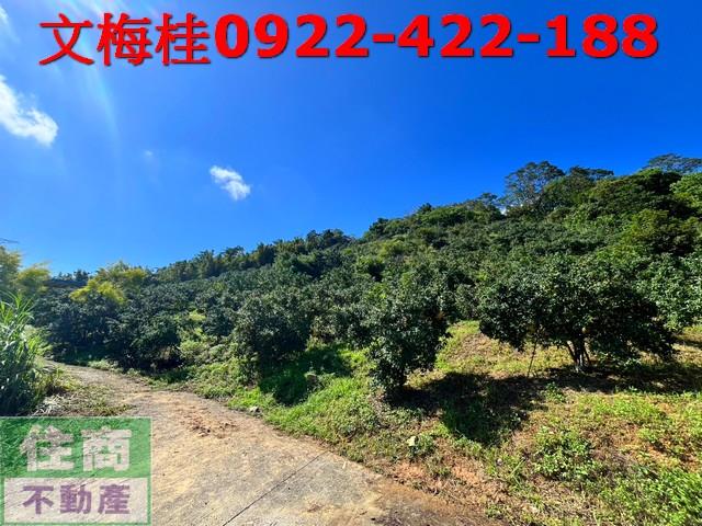 宜蘭員山農地-1