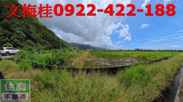 礁溪農地-6