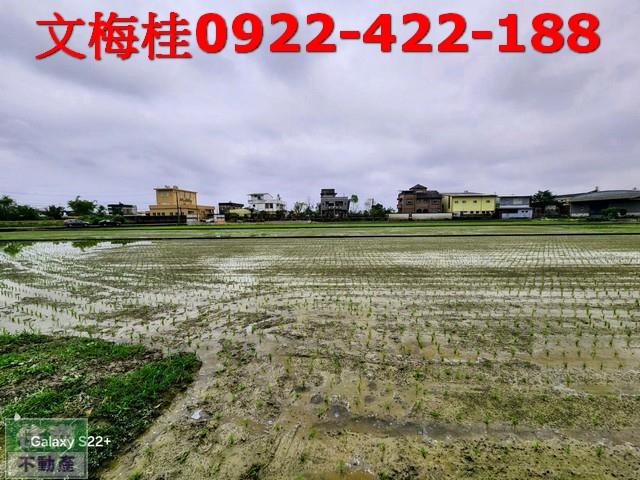 礁溪農地-6