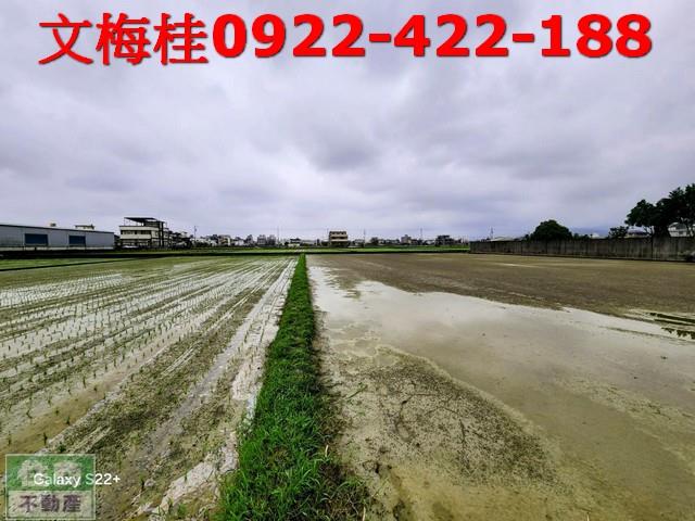 礁溪農地-8